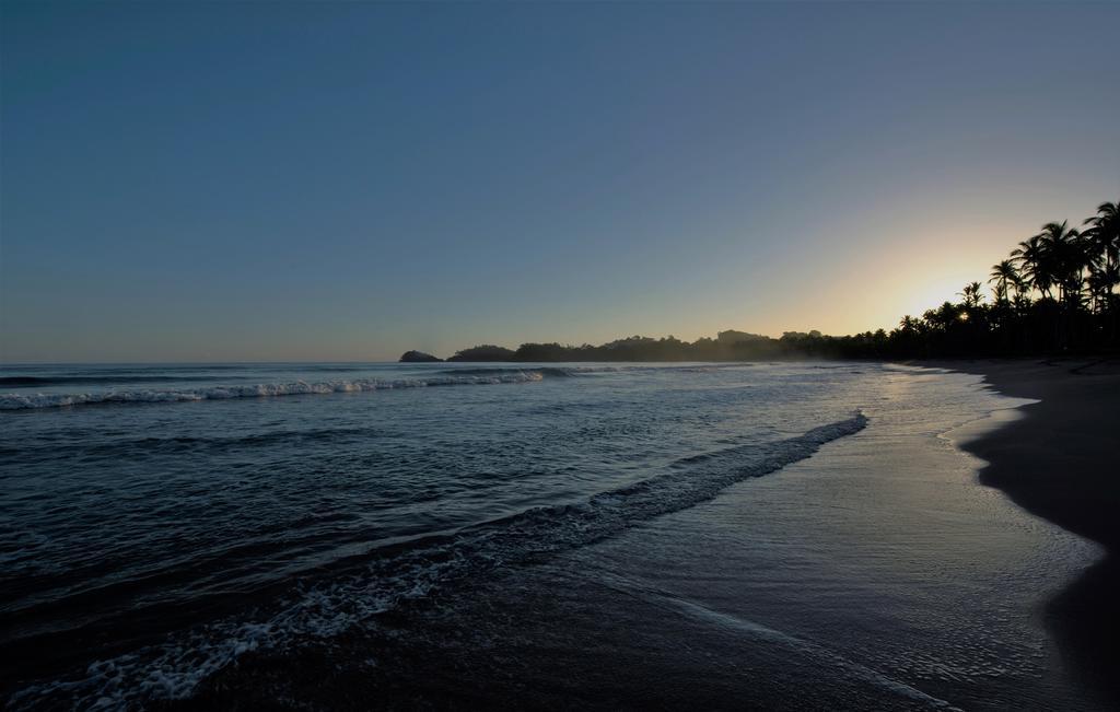 Hotel Costa Las Ballenas Las Terrenas Dış mekan fotoğraf