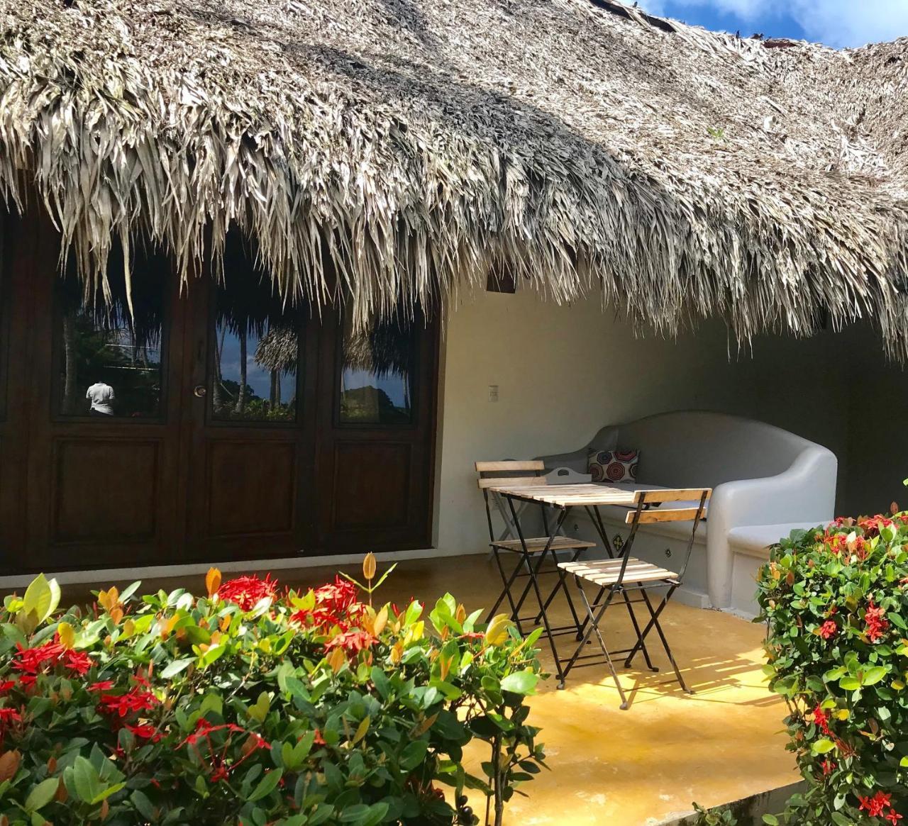Hotel Costa Las Ballenas Las Terrenas Dış mekan fotoğraf